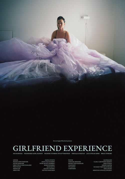 Girlfriend Experience (2024) poster