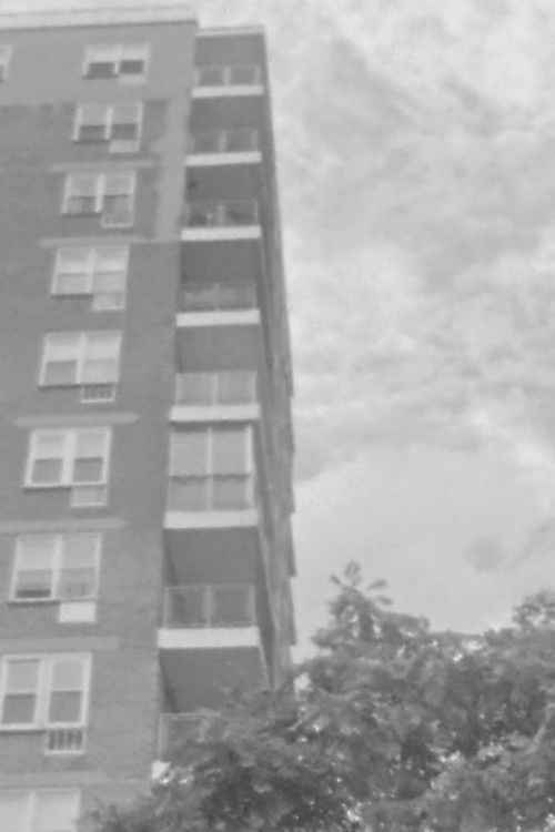 Afternoon (2017) poster