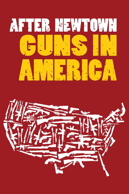 After Newtown: Guns in America (2013) poster