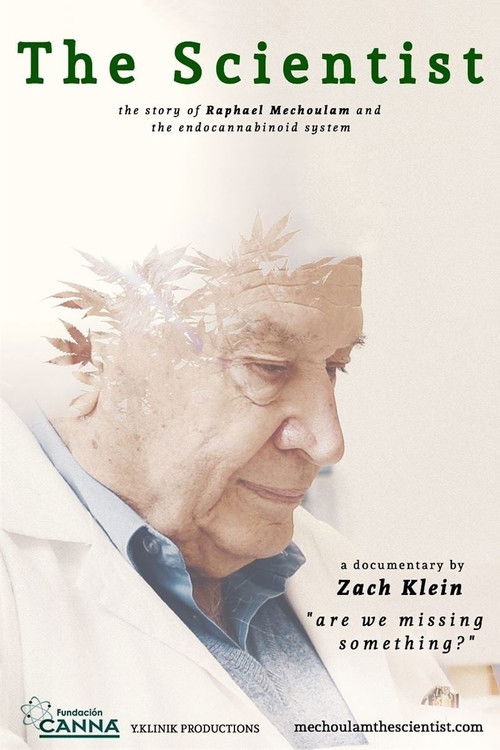 The Scientist: Are We Missing Something? (2015) poster