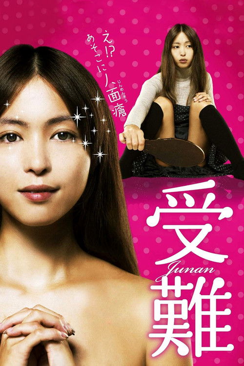 Passion (2013) poster