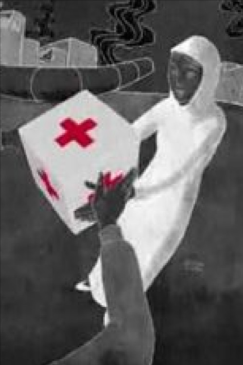 Parcel (2013) poster