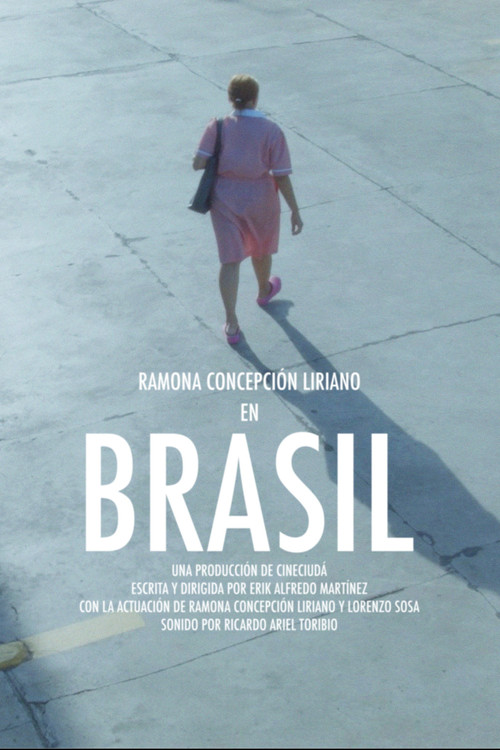 Brasil (2018) poster