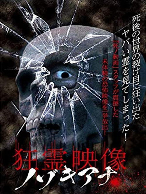 Crazy Spirit Video Nozokiana (2016) poster