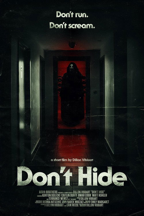 Don’t Hide (2022) poster