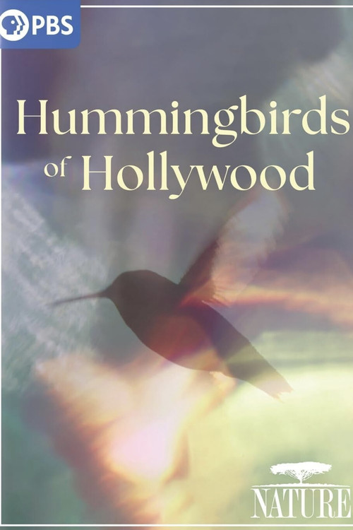 Hummingbirds of Hollywood (2025) poster