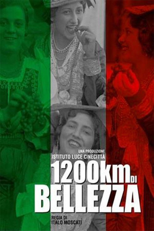 1200 km of Beauty (2016) poster
