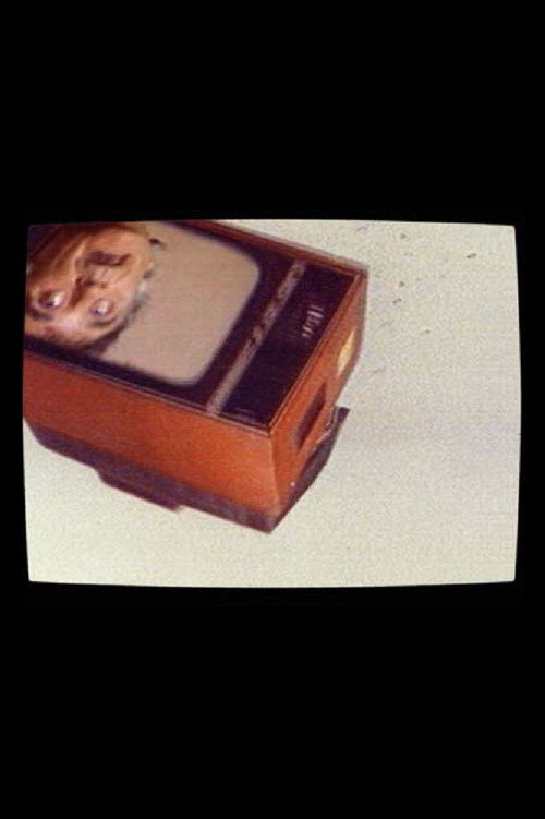 TV Interruptions ’93 (1993) poster