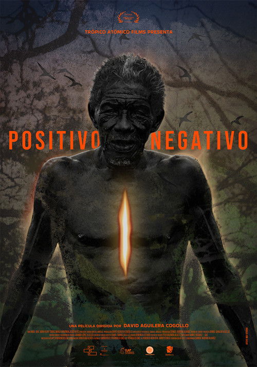 Positive Negative (2025) poster