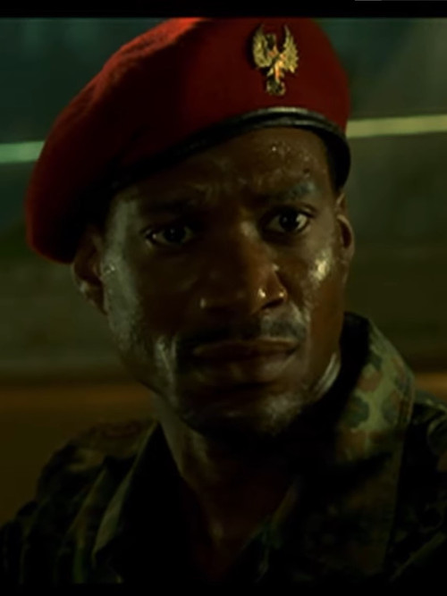 Heritage Minutes: Dextraze in the Congo (2005) poster