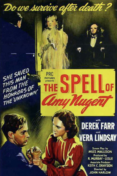 The Spell of Amy Nugent (1941) poster