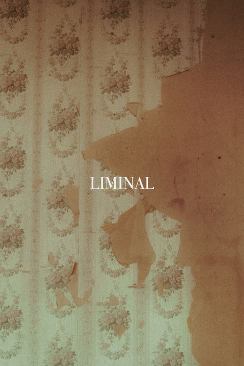 LIMINAL (2025) poster