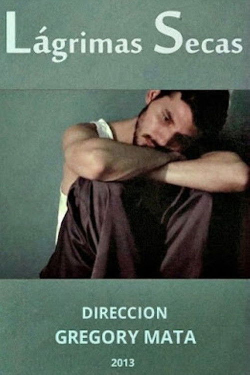 Lágrimas secas (2013) poster