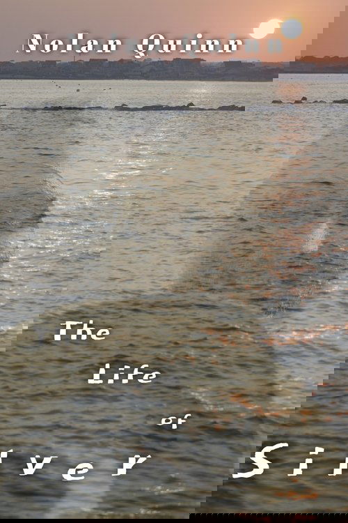 The Life of Silver (2025) poster