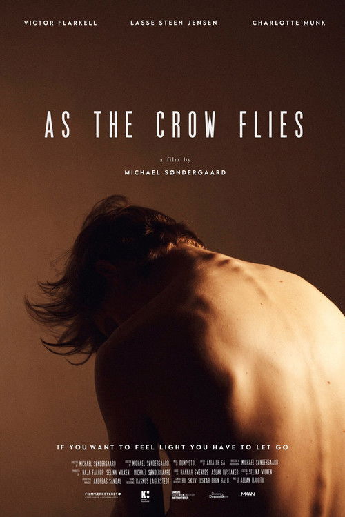 As the Crow Flies (2021) poster