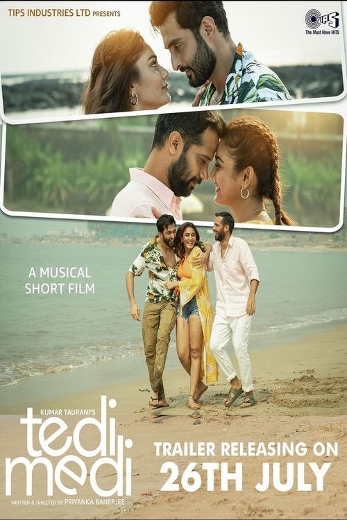Tedi Medi (2024) poster