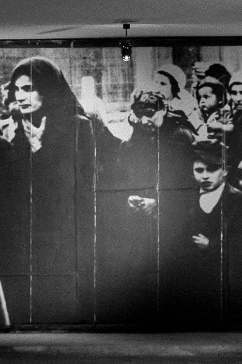 Museum (1966) poster