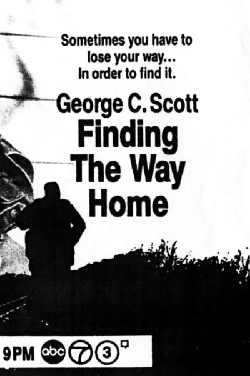 Finding the Way Home (1991) poster