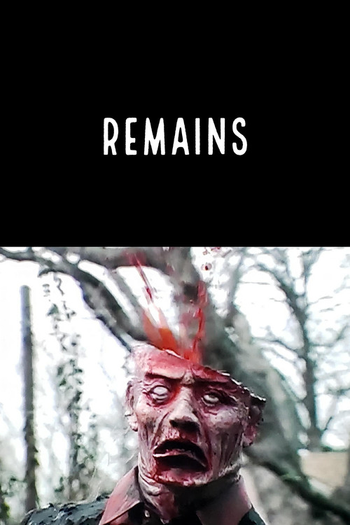Remains (2006) poster