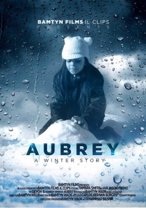 A Winter Story (2021) poster