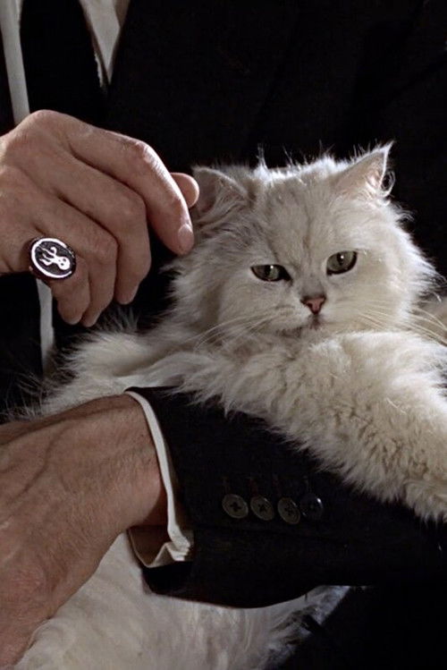 Last Movies (2026) poster