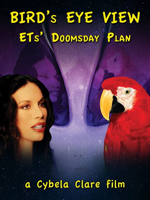 Bird's Eye View (2020) poster