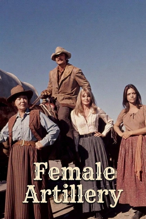 Female Artillery (1973) poster