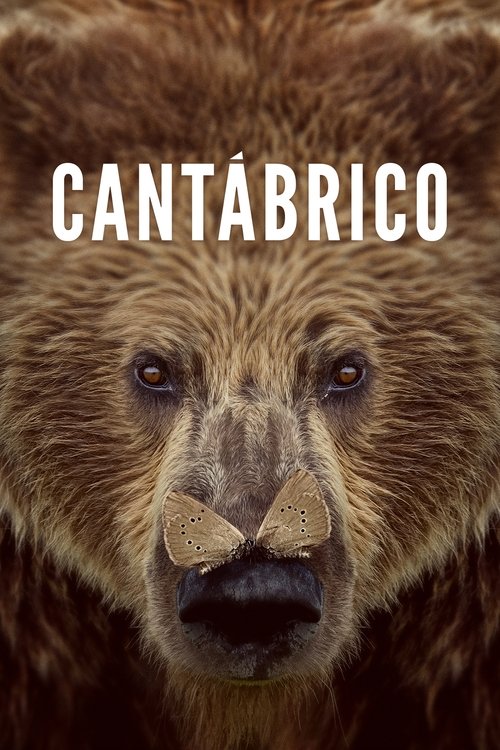 Cantábrico (2017) poster