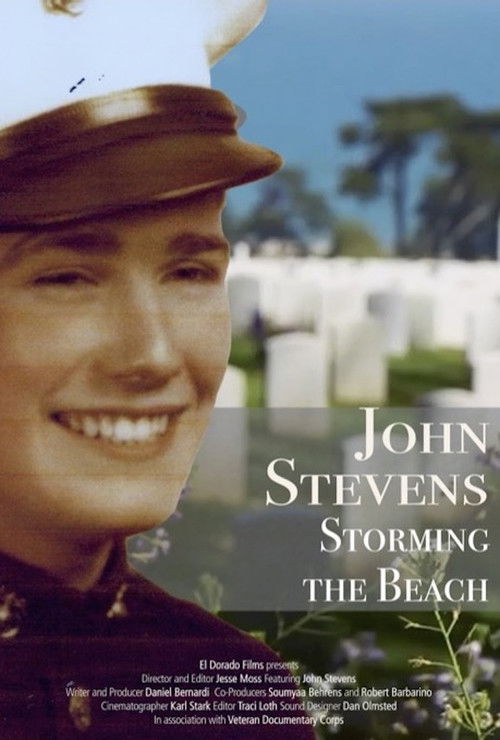 John Stevens: Storming the Beach (2017) poster