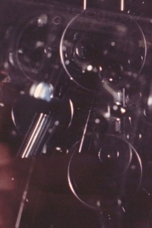 For Joe (1996) poster