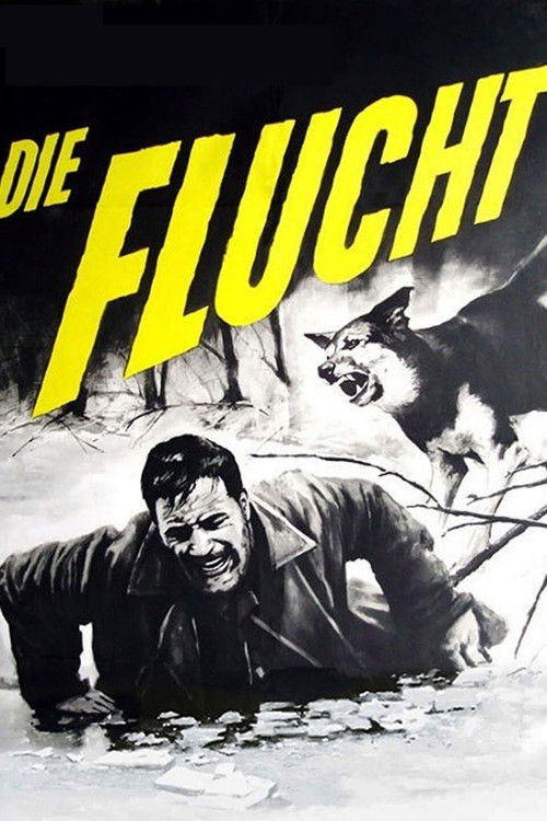Man and Beast (1963) poster