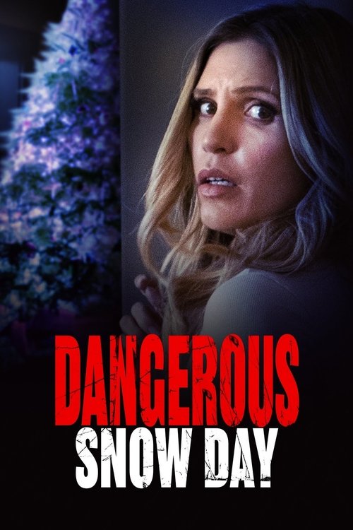 Dangerous Snow Day (2021) poster