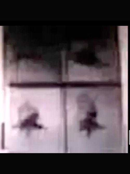 concerning flight (2010) poster