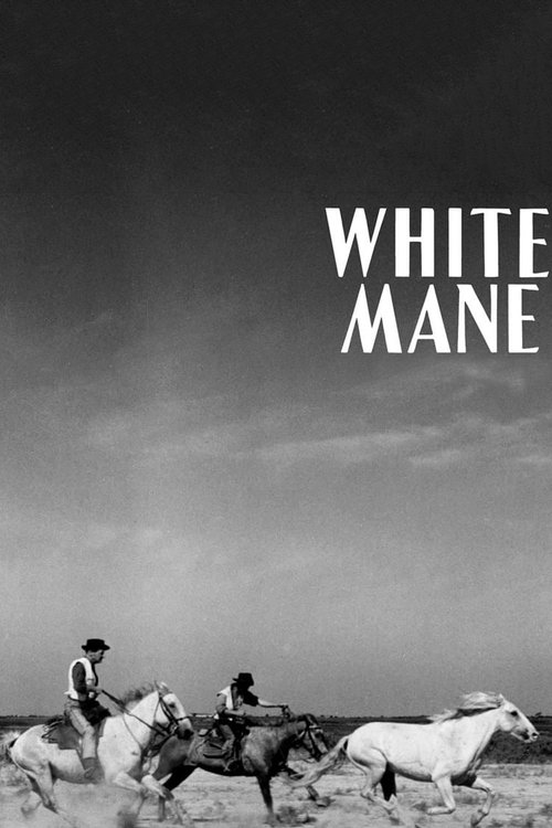 White Mane (1953) poster