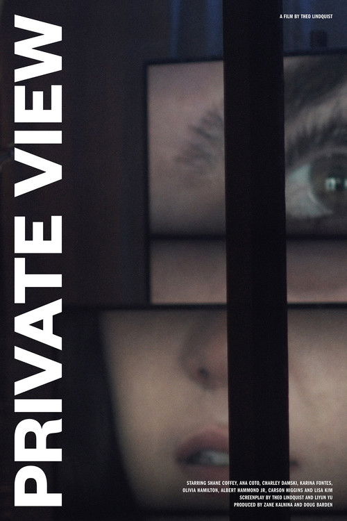 Private View (2020) poster