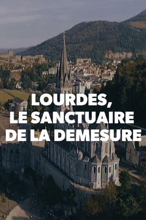 Lourdes, le sanctuaire de la démesure (2019) poster