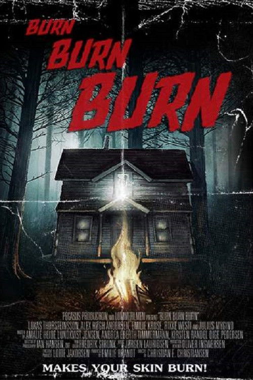 Burn Burn Burn (2015) poster