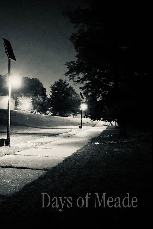 Days of Meade (2025) poster