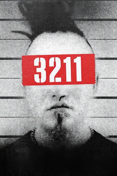 3211 (2023) poster