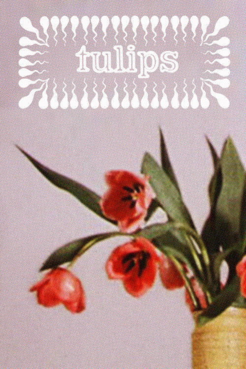 Tulips (1966) poster