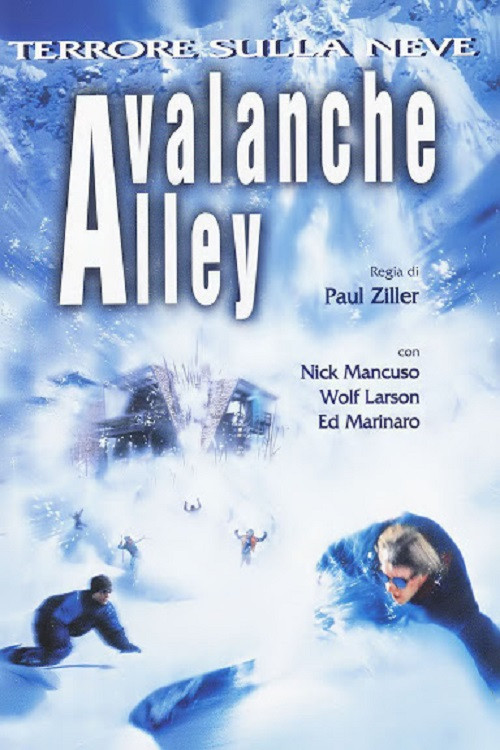 Avalanche Alley (2001) poster