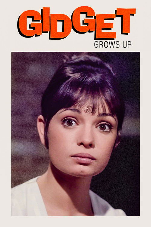 Gidget Grows Up (1969) poster
