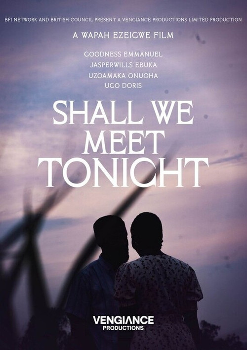 Shall We Meet Tonight (2025) poster
