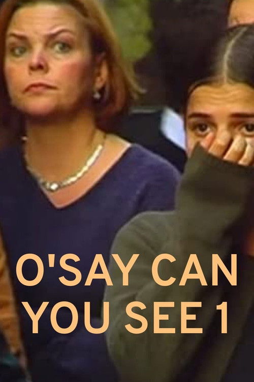 O'Say Can You See 1 (2011) poster