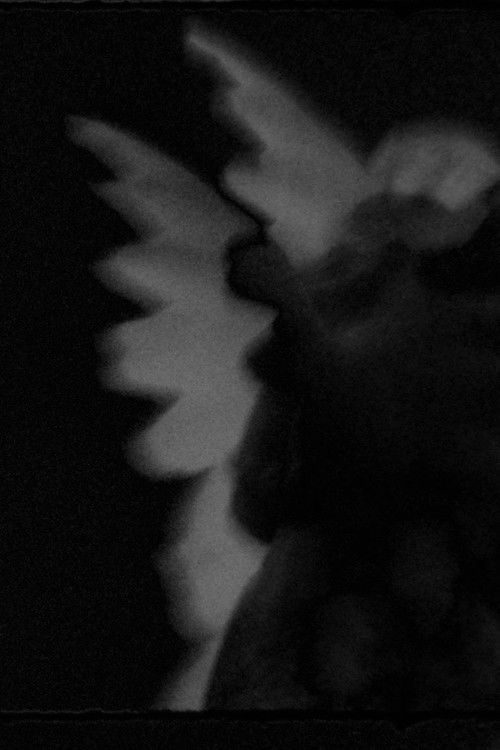 Gradations I-II (2020) poster