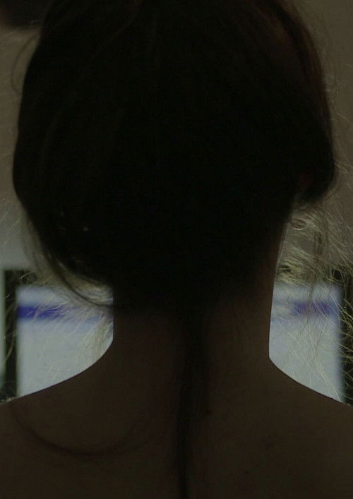 The Last Portrait (2016) poster