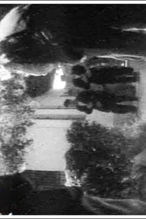 Old Bazaar (1955) poster