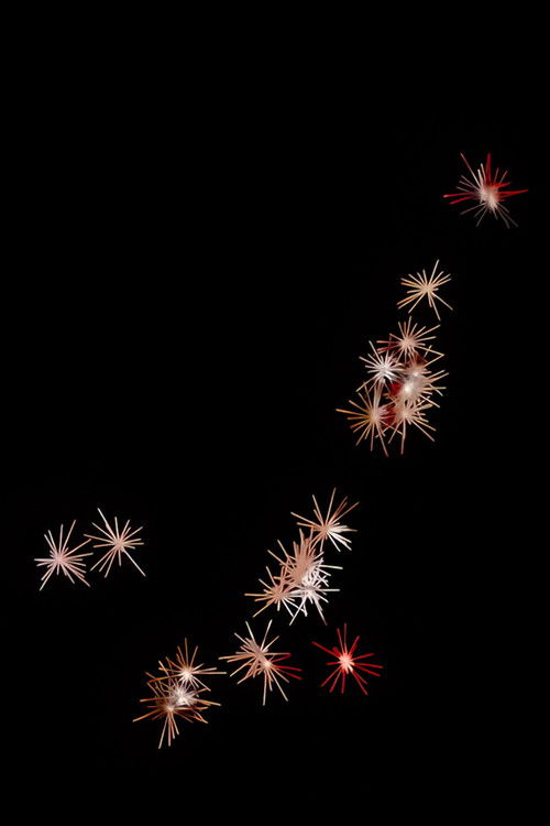 Blackout (2024) poster