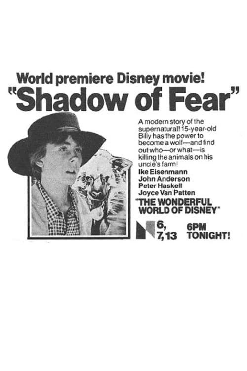 Shadow of Fear (1979) poster