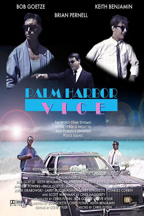 Palm Harbor Vice (1991) poster